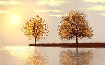 网站SEO排名优化软件招商信息：区域代理加盟政策详解